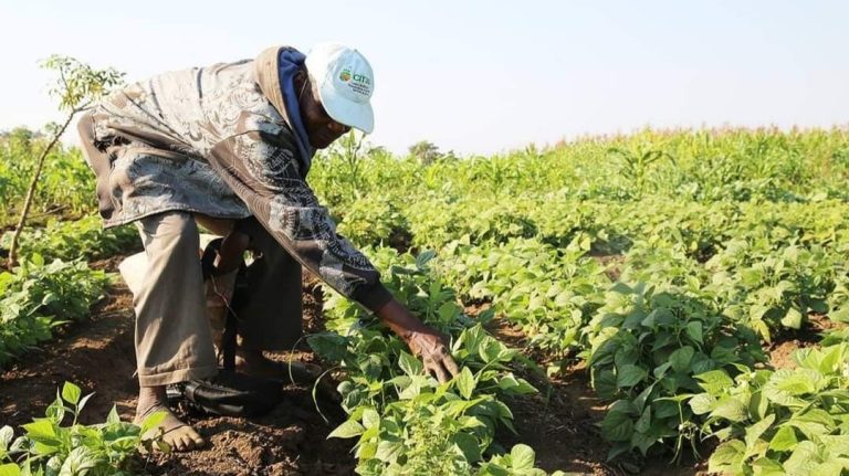 CITTAU-Agricultores