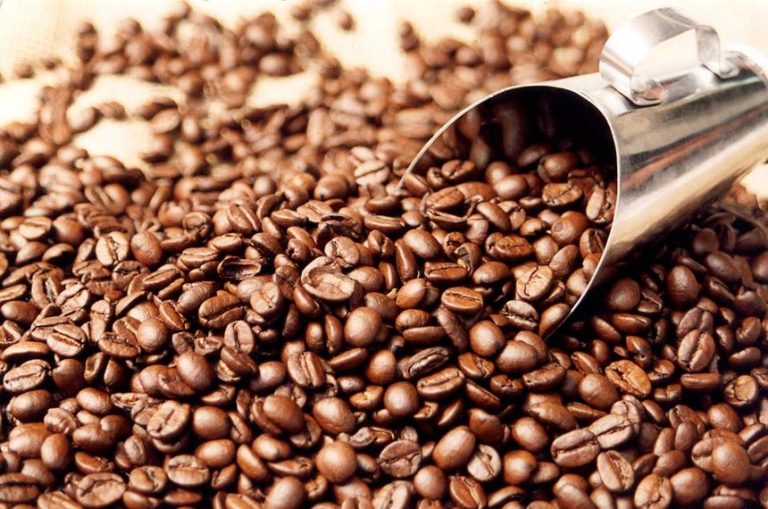 cafe-producao