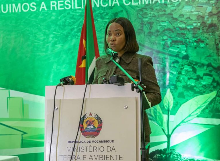 MAIBAZE CONSELHO COORDENADOR