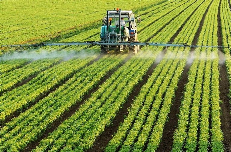 agricultura-moz