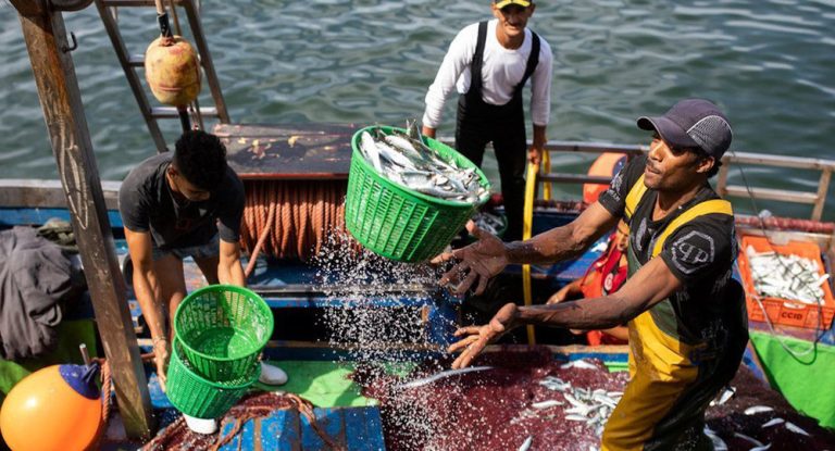 Pesca illegal