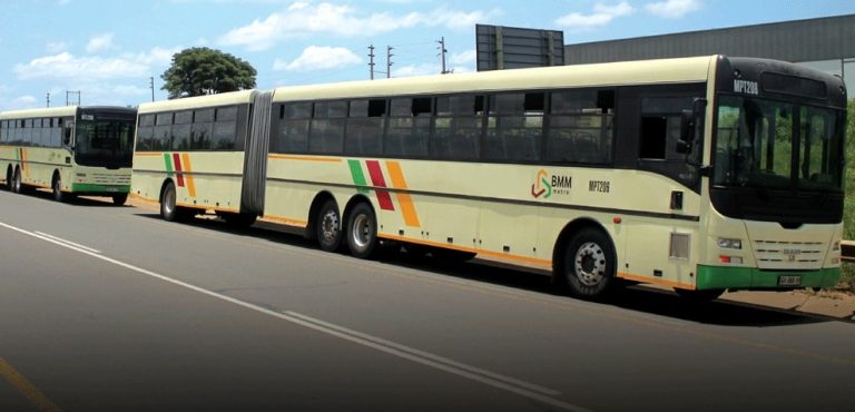 articulados
