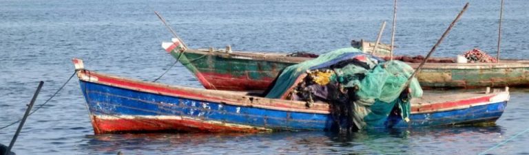 BARCOS DE PESCA
