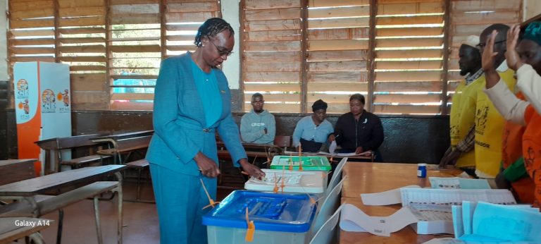 Governadora da província de Niassa, norte de Moçambique, Judite Massengele