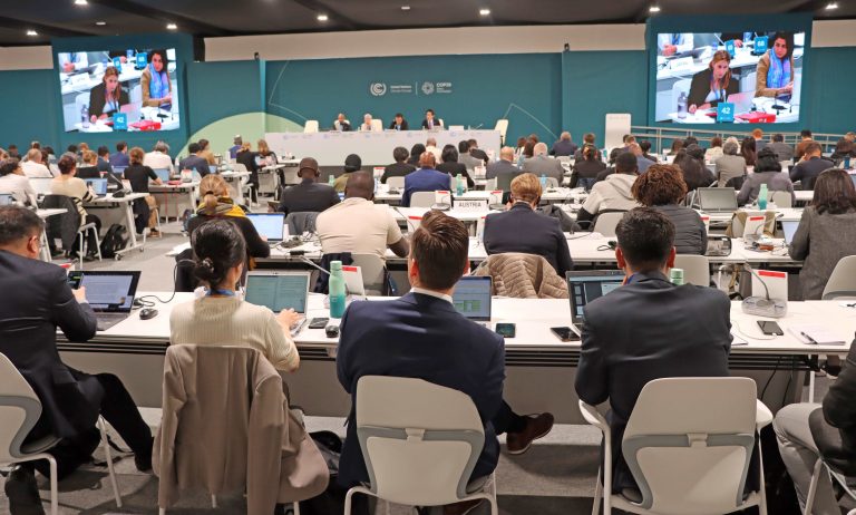 Participantes na COP29, em em Baku, Azerbaijão