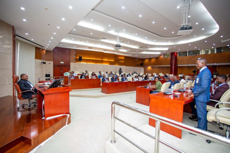 PR Nyusi recebe Jovens Moçambicanos