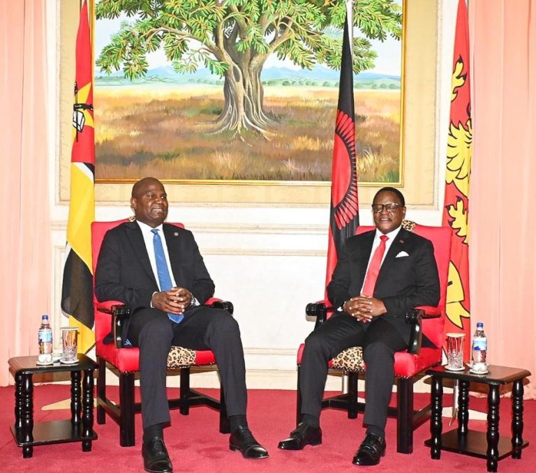 PR na chegada a Lilongwe, recepção e em conversações (14)