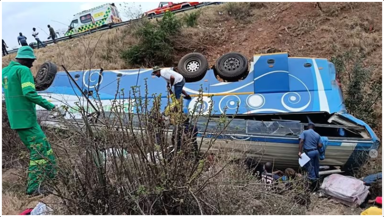 AUTOCARRO DESPENHADO