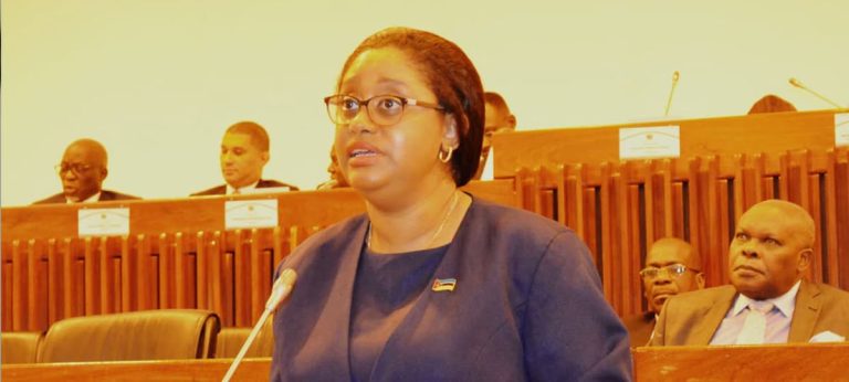 Carla Louveira no Parlamento