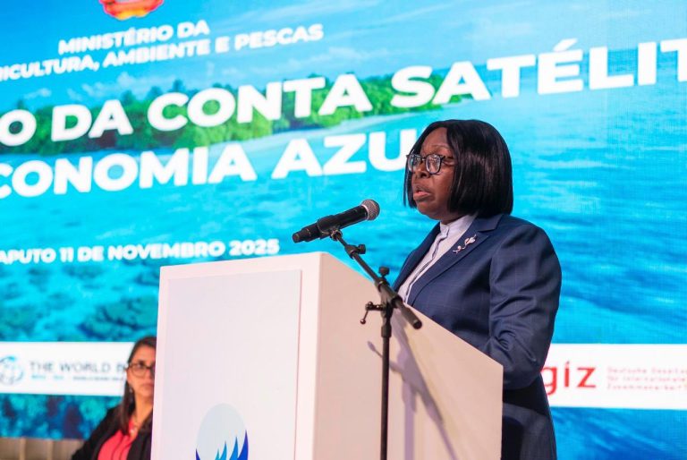 Benvinda lLevi no lancamento de da   Conta Satélite da Economia Azul (CSEA))