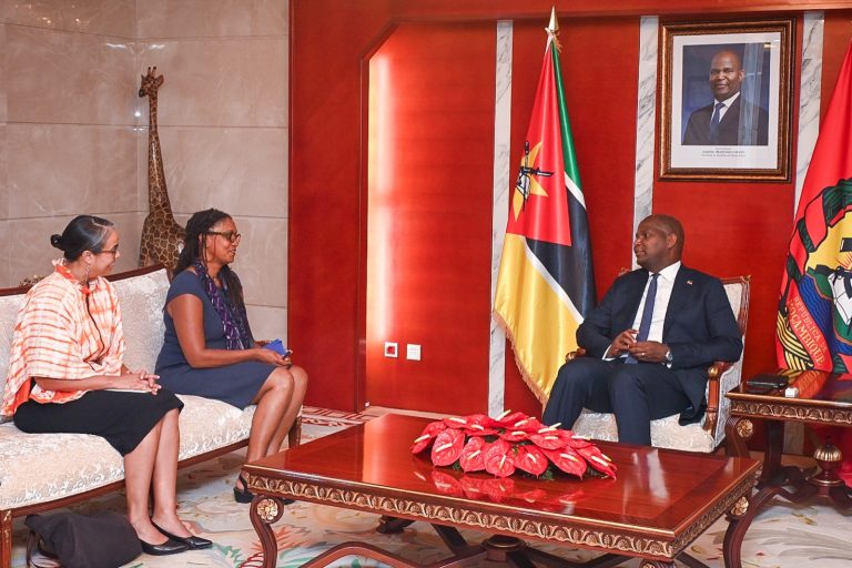 Presidente da República recebe em audiência a directora para África do Secretariado do Ambiente (5)