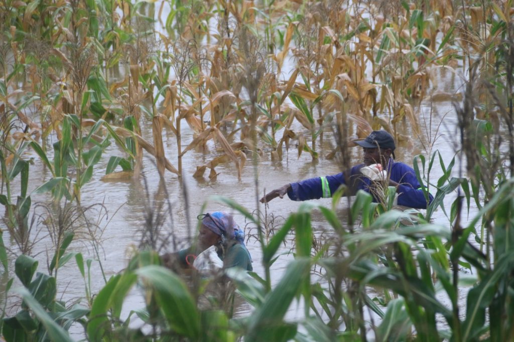 Inundação em campos agrícolas