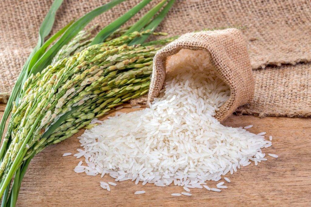 Arroz