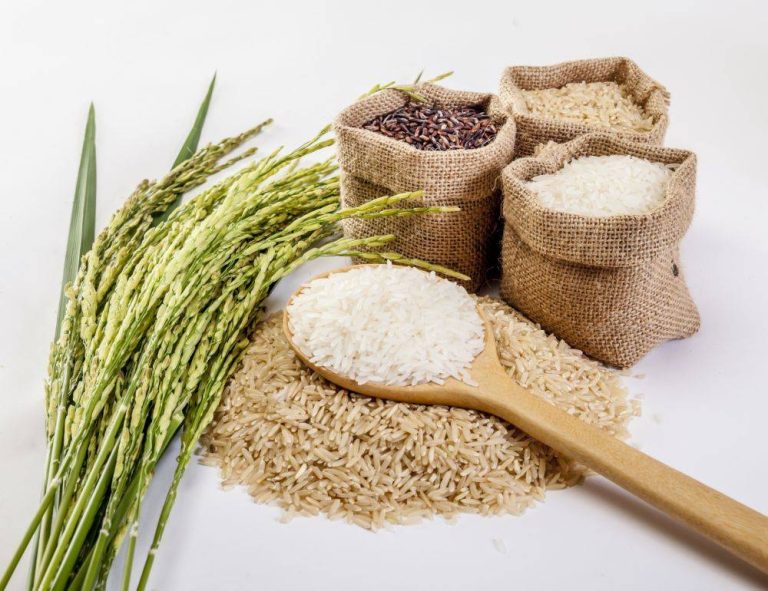 Exportacoes-de-arroz-em-casca-alcancam-melhor-resultado-do-ano.-1