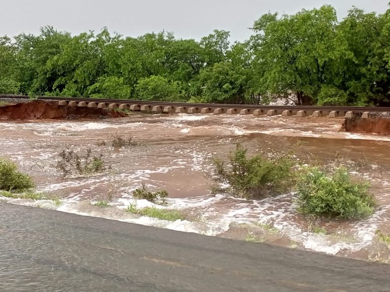 WhatsApp Image 2026-01-15 at 8.55.50 PM(1)