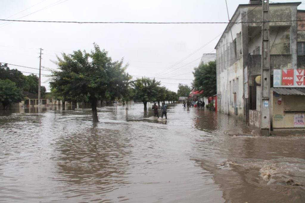 WhatsApp Image 2026-01-16 at 2.31.17 PM