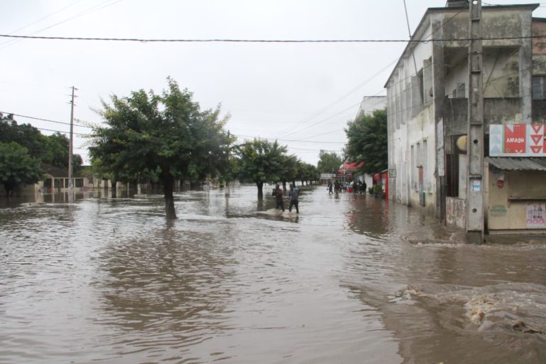 WhatsApp Image 2026-01-16 at 2.31.17 PM