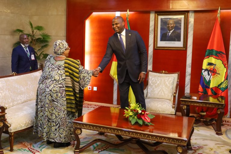 Presidente da República recebe a antiga Presidente do Malawi, Joyce Banda, líder do Painel de Anciãos da Comunidade de Desenvolvimento da África Austral (SADC)2