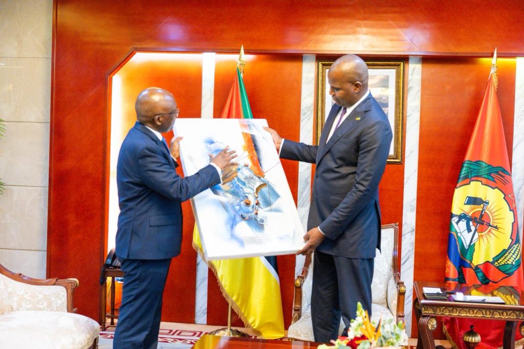 Presidente da República recebe em adiência o Diretor-Geral da Organização Regional Africana da Propriedade Intelectual (ARIPO)1