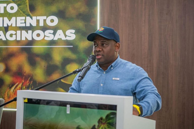oleoginosas