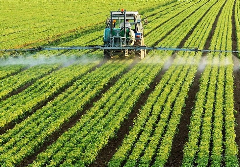 agricultura-moz